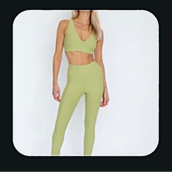 ISO Skatie Cece legging in Envy